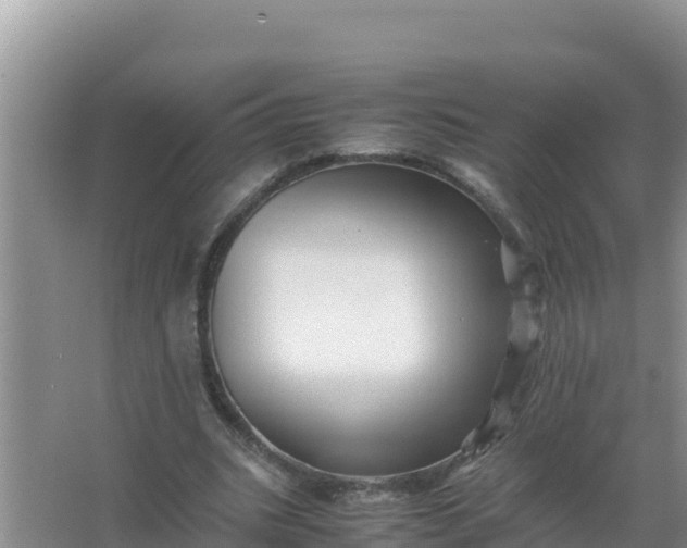 X0000066960535200604072007