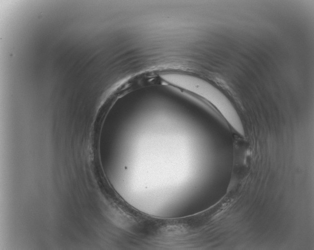 X0000066960536200604072007