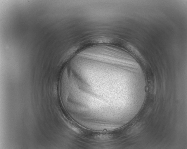 X0000066960537200604072007