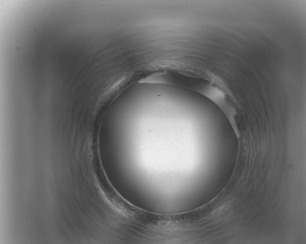 X0000066960538200604072007