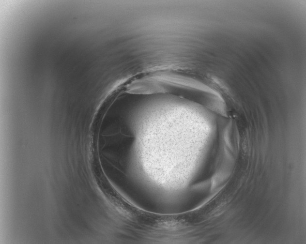 X0000066960540200604072007