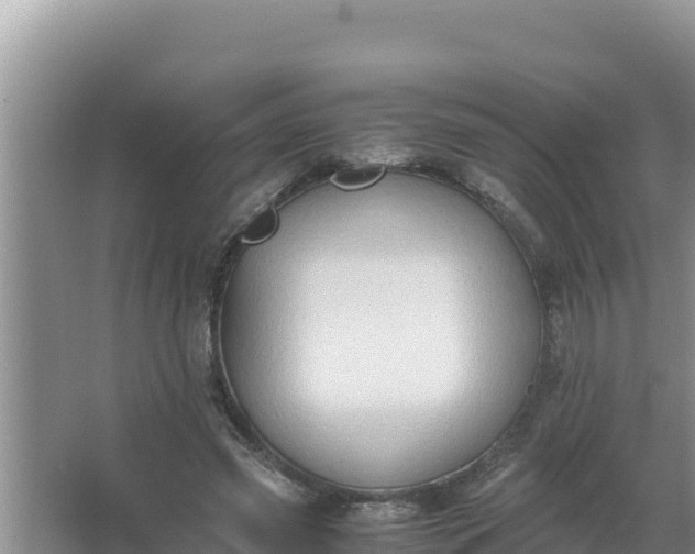 X0000066960541200604072007