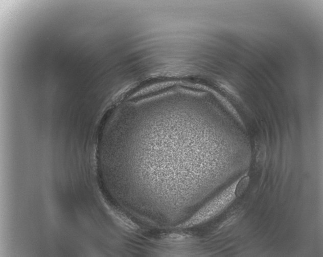 X0000066960542200604072007