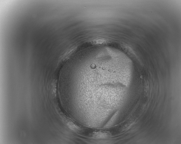 X0000066960545200604072007