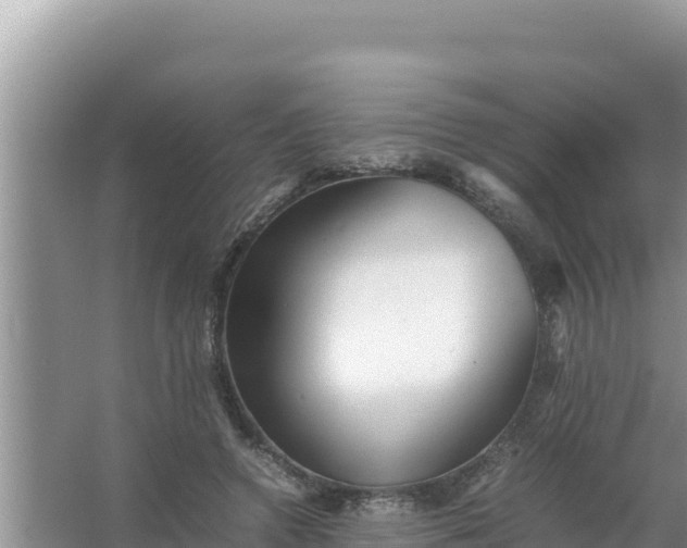 X0000066960546200604072007