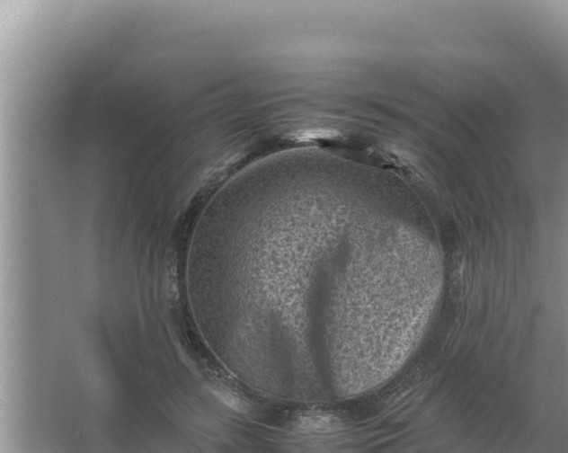 X0000066960547200604072007