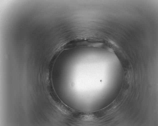 X0000066960548200604072007