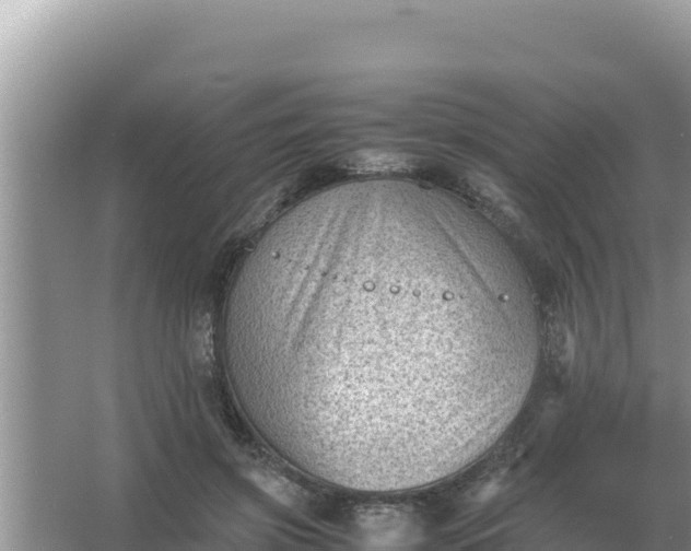 X0000066960549200604072007