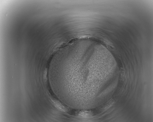 X0000066960550200604072007