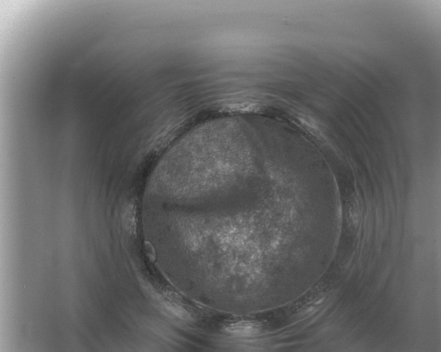 X0000066960551200604072007