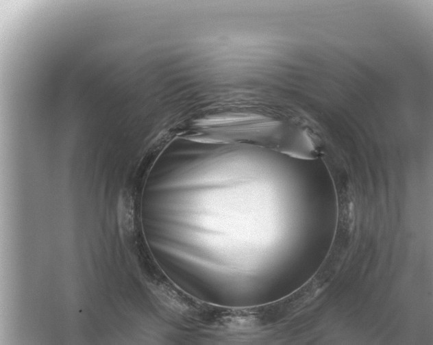 X0000066960552200604072007