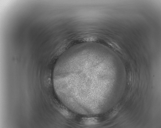 X0000066960553200604072007