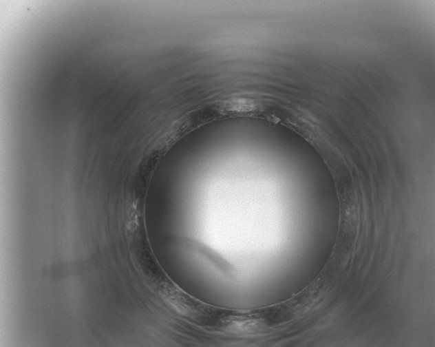 X0000066960555200604072007