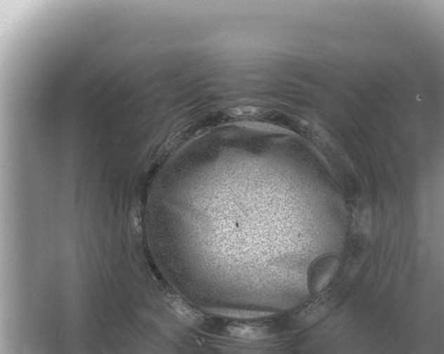 X0000066960561200604072007