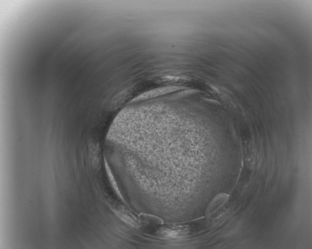 X0000066960563200604072007