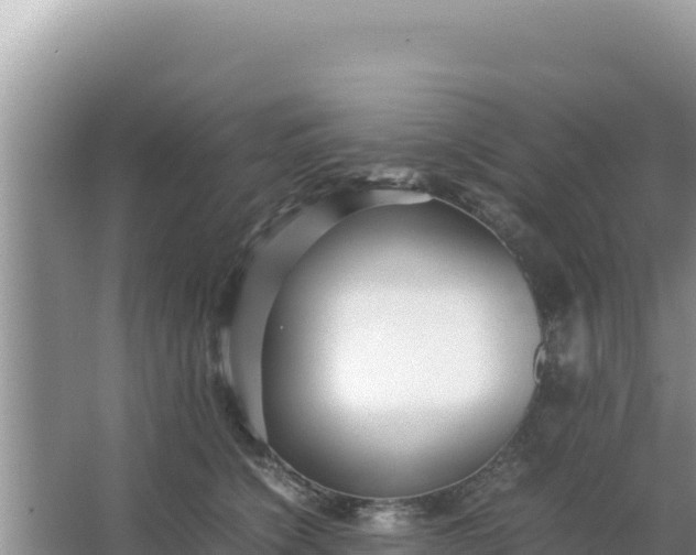 X0000066960564200604072007