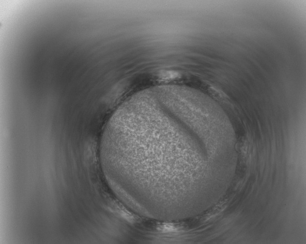 X0000066960565200604072007