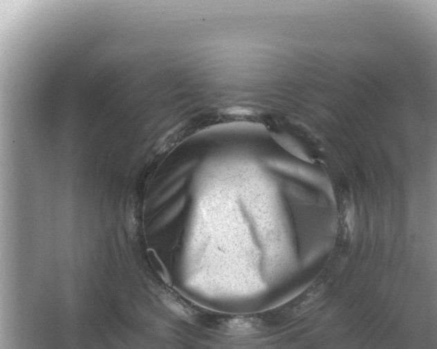 X0000066960566200604072007