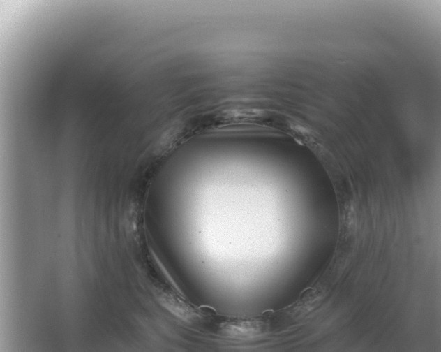 X0000066960567200604072007