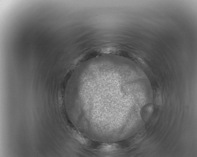 X0000066960569200604072007