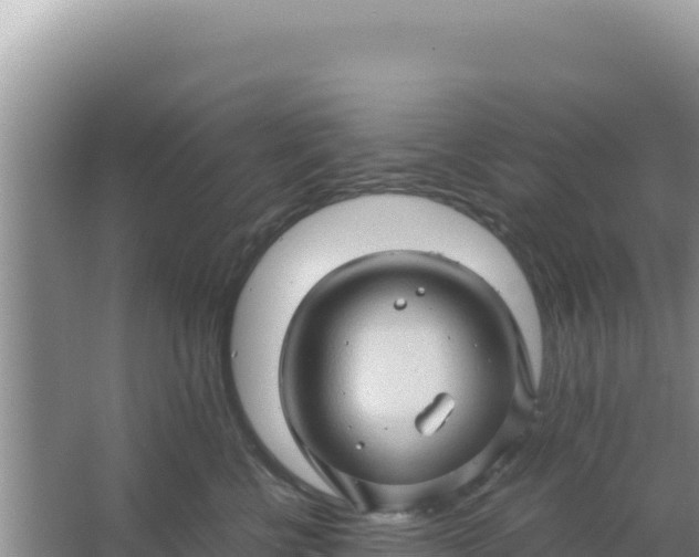 X0000066960570200604072007