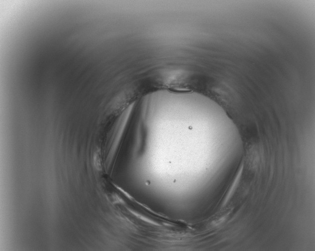 X0000066960571200604072007