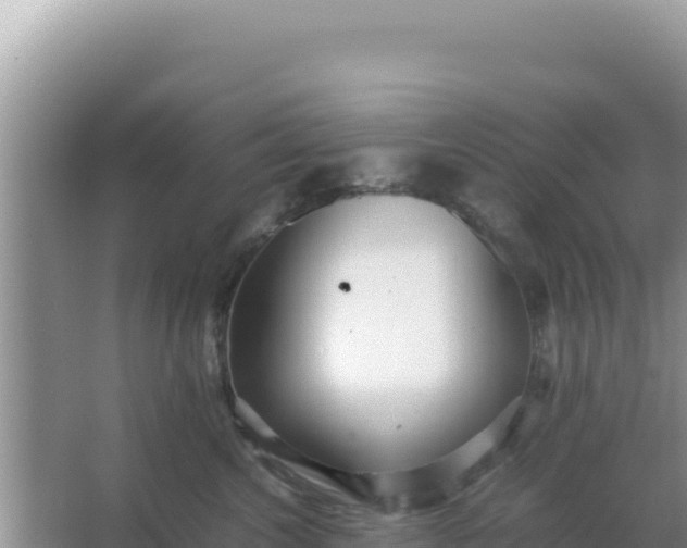 X0000066960572200604072007