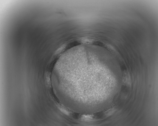 X0000066960573200604072007