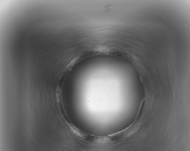 X0000066960576200604072007