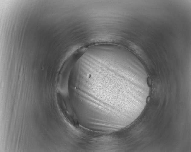 X0000066960578200604072007