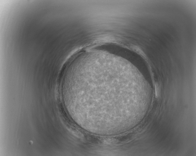 X0000066960579200604072007