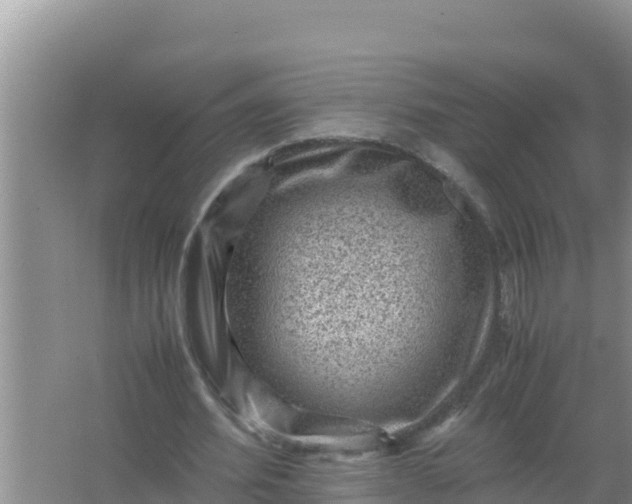 X0000066960580200604072007