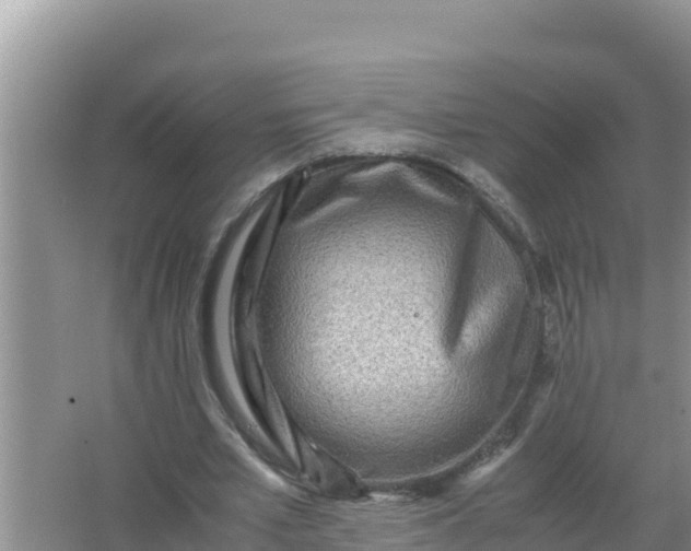 X0000066960581200604072007