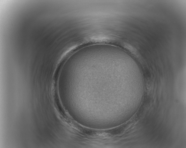 X0000066960583200604072006