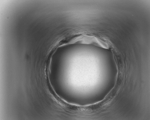 X0000066960585200604072006