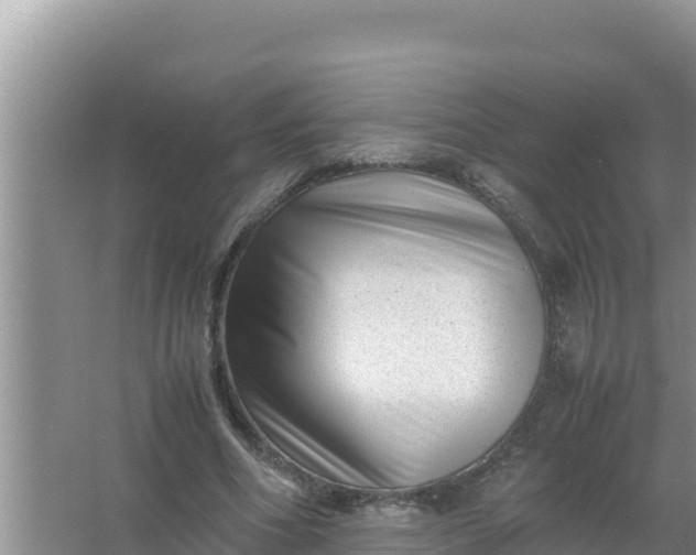 X0000066960586200604072006