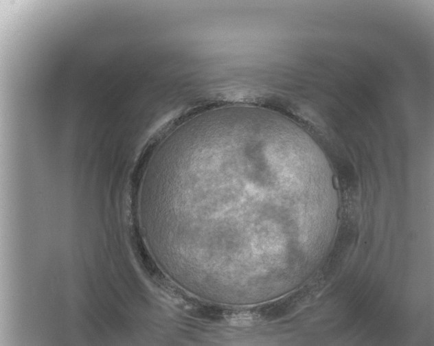 X0000066960587200604072006