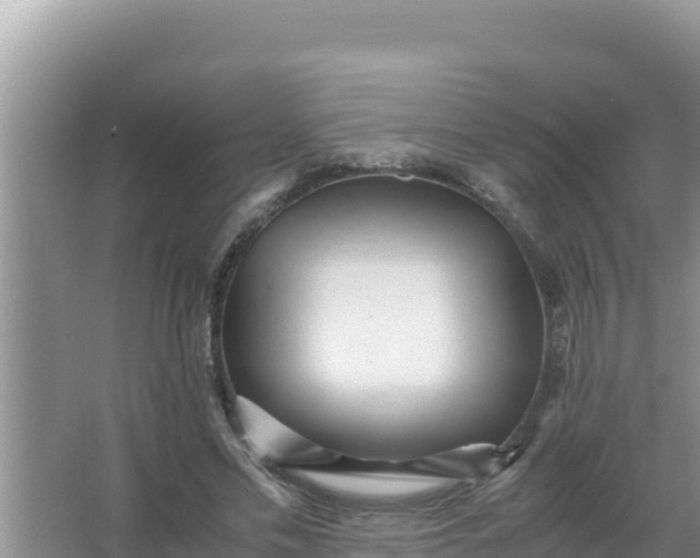 X0000066960589200604072006