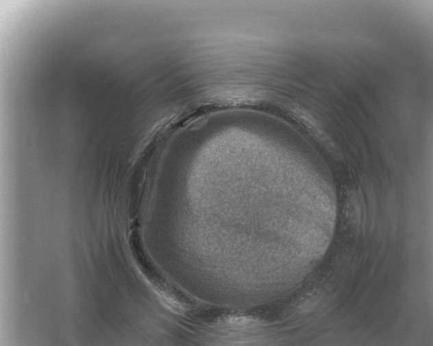 X0000066960590200604072006