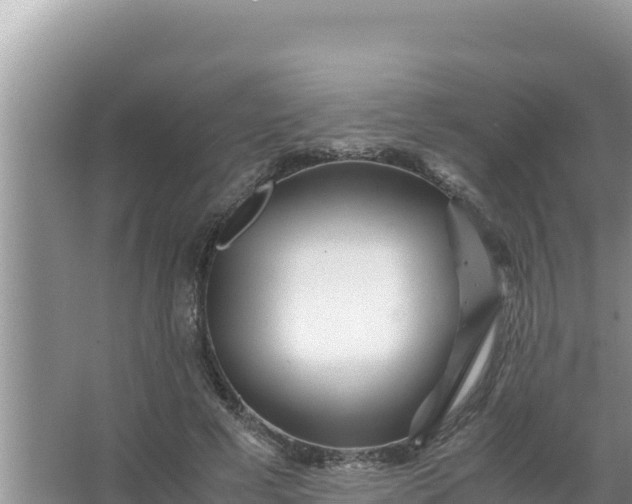 X0000066960593200604072006