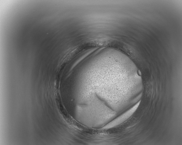 X0000066960594200604072006