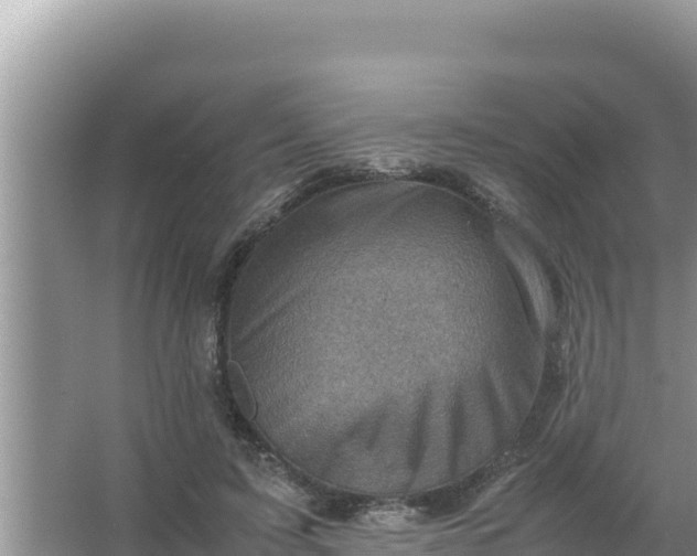 X0000066960595200604072006