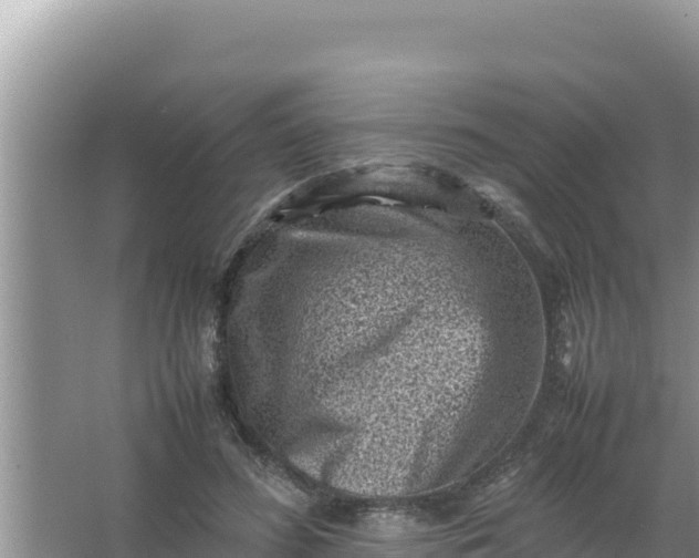 X0000066960596200604072006