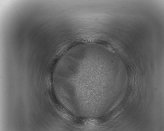 X0000066960599200604072006