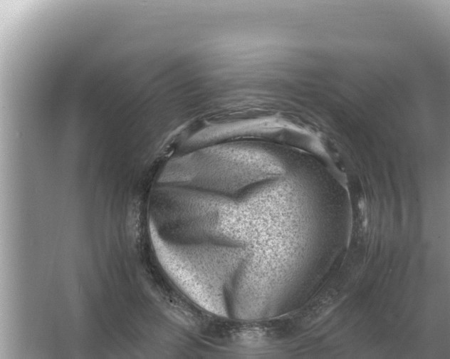 X0000066960600200604072006