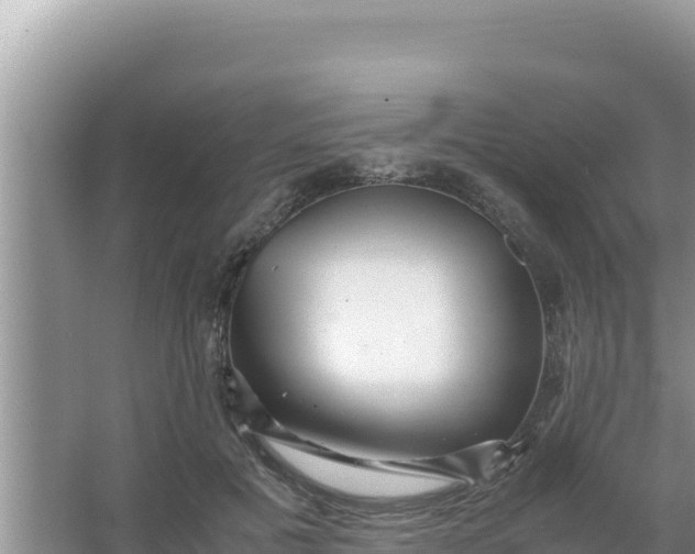 X0000066960601200604072006