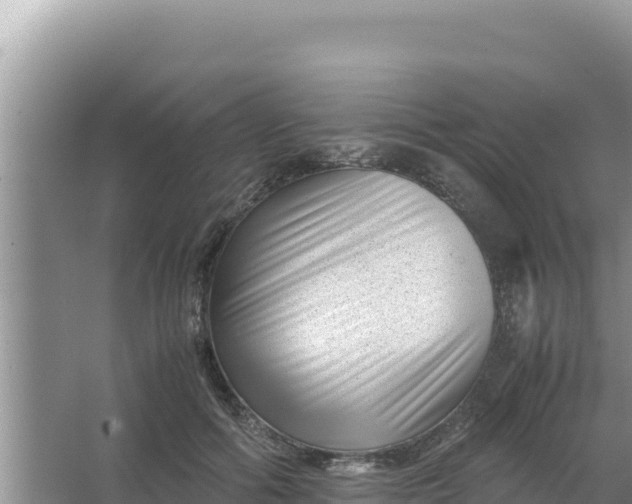 X0000066960602200604072006