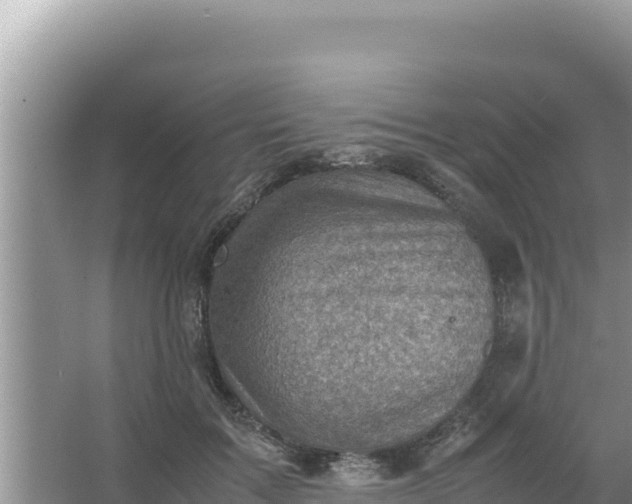 X0000066960603200604072006