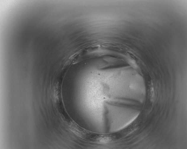 X0000066960604200604072006