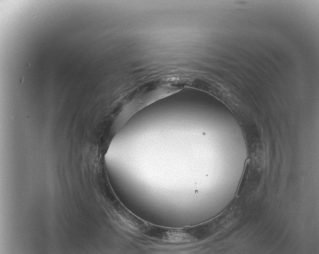 X0000066960605200604072006